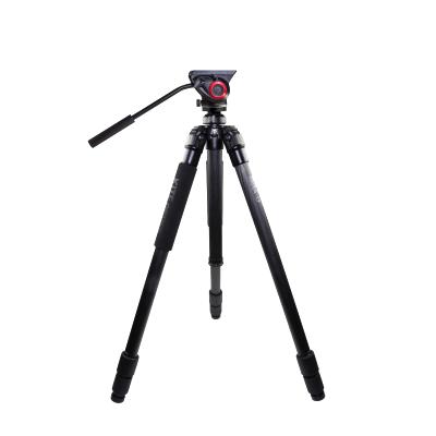 Accessorio KITE TREPPIEDE ARDEA CF + MANFROTTO TESTA MVH500AH